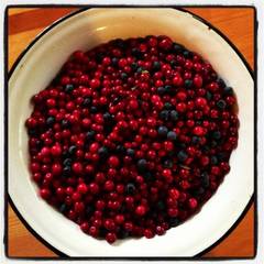 Коттедж Солнечный, Медвежьегорск, Республика Карелия