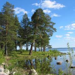 Коттедж Солнечный, Медвежьегорск, Республика Карелия