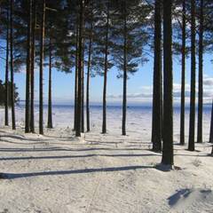 Коттедж Солнечный, Медвежьегорск, Республика Карелия