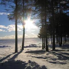 Коттедж Солнечный, Медвежьегорск, Республика Карелия