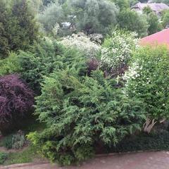 Гостиница Мезмай, Мезмай, Краснодарский край