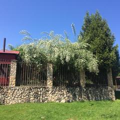 Гостиница Мезмай, Мезмай, Краснодарский край