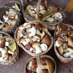 База отдыха Нёмда, Меленки, Костромская область