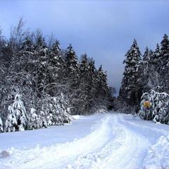Коттеджный комплекс Хутор Белой Козы, Мельниково, Ленинградская область