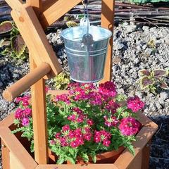 Коттеджный комплекс Хутор Белой Козы, Мельниково, Ленинградская область