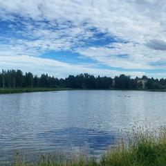 Мини-гостиница Abri, Металлострой, Ленинградская область