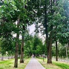 Мини-гостиница Abri, Металлострой, Ленинградская область