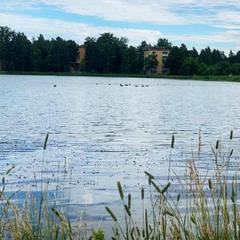 Мини-гостиница Abri, Металлострой, Ленинградская область