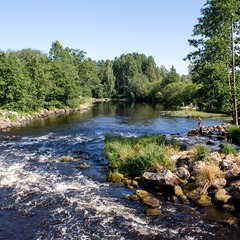 Коттеджный комплекс Хутор Белой Козы, Мельниково, Ленинградская область