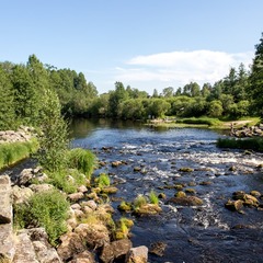 Коттеджный комплекс Хутор Белой Козы, Мельниково, Ленинградская область