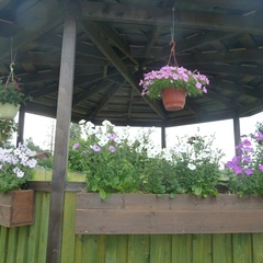 Коттеджный комплекс Хутор Белой Козы, Мельниково, Ленинградская область