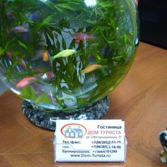 Гостевой дом Дом Туриста, Миллерово, Ростовская область