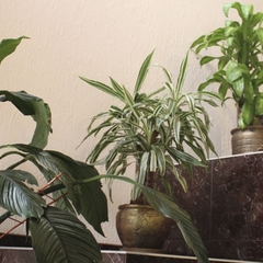 Гостиница Империал, Минеральные Воды, Ставропольский край