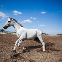 Гостиница City&Business Hotel, Минеральные Воды, Ставропольский край