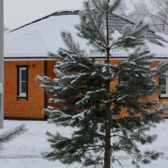 Дачный отель Лесные поляны, Тульская область