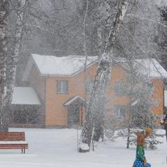 Дачный отель Лесные поляны, Тульская область