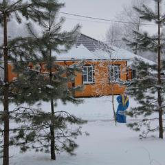 Дачный отель Лесные поляны, Тульская область