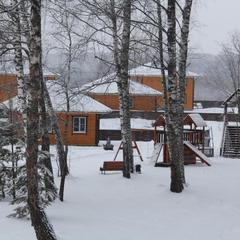 Дачный отель Лесные поляны, Тульская область