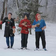 Дачный отель Лесные поляны, Тульская область