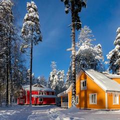 База отдыха Радуга, Мичуринское, Ленинградская область