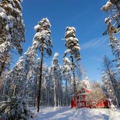 База отдыха Радуга, Мичуринское, Ленинградская область