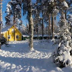 База отдыха Радуга, Мичуринское, Ленинградская область