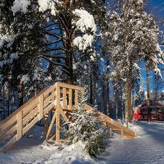 База отдыха Радуга, Мичуринское, Ленинградская область