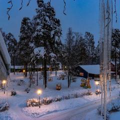 База отдыха Радуга, Мичуринское, Ленинградская область