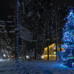 База отдыха Радуга, Мичуринское, Ленинградская область