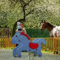 Конно-туристическая база Аванпост, Можайск, Московская область