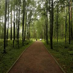 База отдыха Радуга, Мичуринское, Ленинградская область