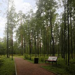 База отдыха Радуга, Мичуринское, Ленинградская область