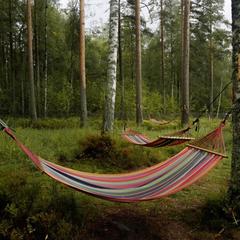 База отдыха Радуга, Мичуринское, Ленинградская область