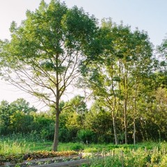 База отдыха Экоферма Мечта, Горячий Ключ, Краснодарский край