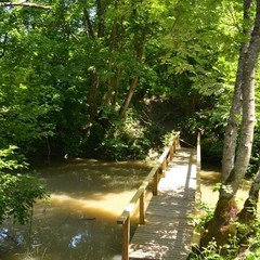 База отдыха Экоферма Мечта, Горячий Ключ, Краснодарский край