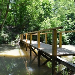 База отдыха Экоферма Мечта, Горячий Ключ, Краснодарский край