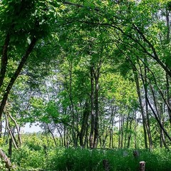 База отдыха Экоферма Мечта, Горячий Ключ, Краснодарский край