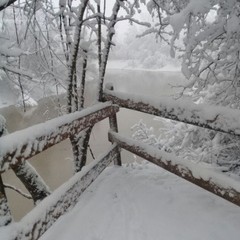 База отдыха Экоферма Мечта, Горячий Ключ, Краснодарский край