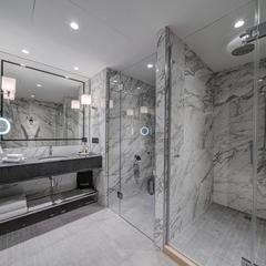 Отель Chekhoff Hotel Moscow Curio Collection By Hilton, Москва, Московская область