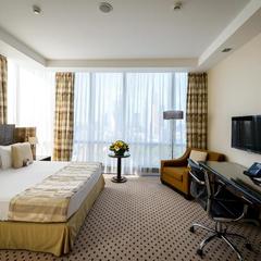 Отель Crowne Plaza Moscow World Trade Centre, Москва, Московская область