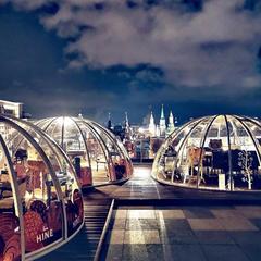 Отель Ритц-Карлтон Москва, Москва, Московская область