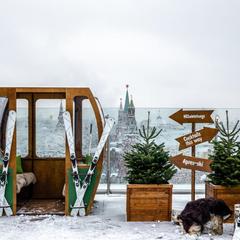 Отель Ритц-Карлтон Москва, Москва, Московская область