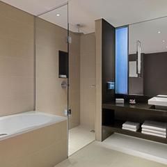 Отель Шератон Палас , Москва, Московская область