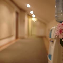 Отель Калифорния на Покровке, Москва, Московская область