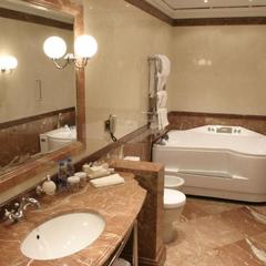 Отель Савой, Москва, Московская область