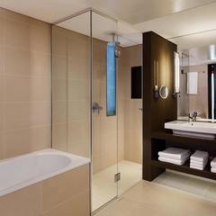 Отель Шератон Палас , Москва, Московская область