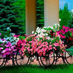 Отель Холидей Инн Москва Селигерская, Москва, Московская область