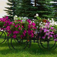 Отель Холидей Инн Москва Селигерская, Москва, Московская область