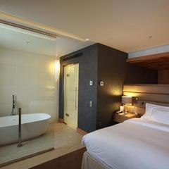 Отель Шератон Палас , Москва, Московская область