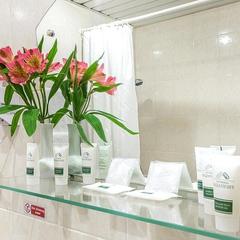 Гостиница Будапешт, Москва, Московская область